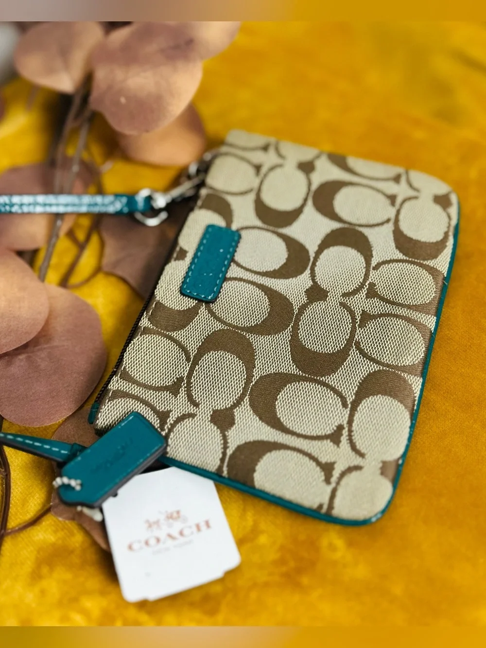 Coach Signature Canvas Wristlet with Teal Trim